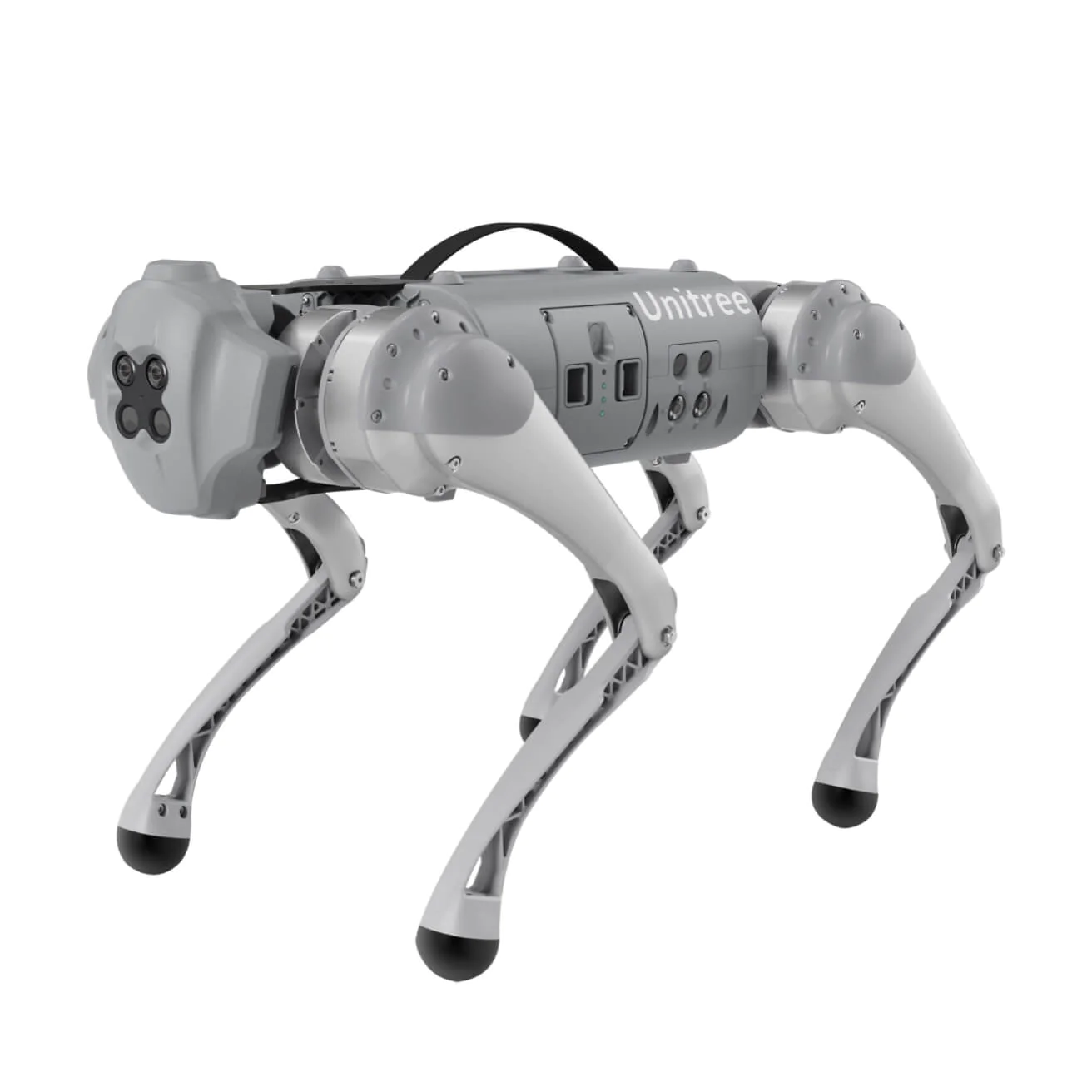 ../../_images/Go1_robot.png